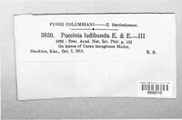 Image Associated With the Occurence